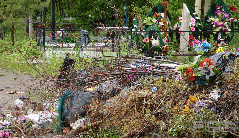 Финансирование на содержание кладбищ в Братске увеличат - БСТ